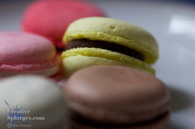 macro shot of coloured macaroons on a plate